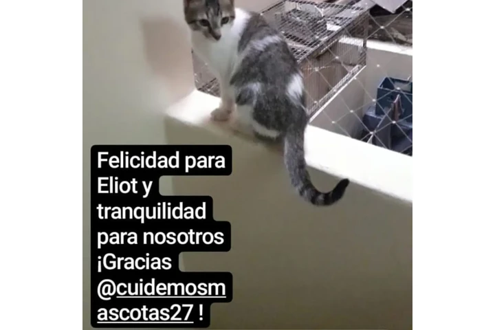 Redes de Protección Cuidemos image 9