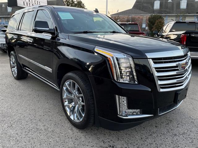 2018 Escalade 2WD 4dr Platinum image 3