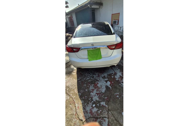 $6500 : Linpio image 2