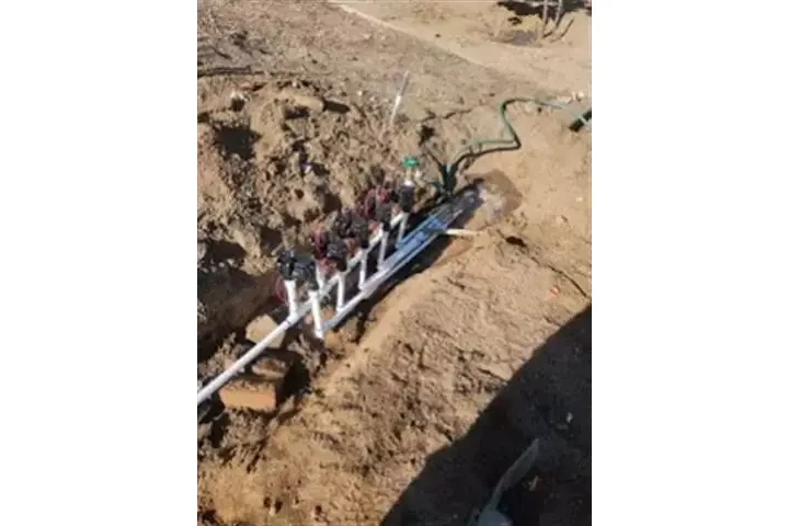 Jardinero Econoómico image 5