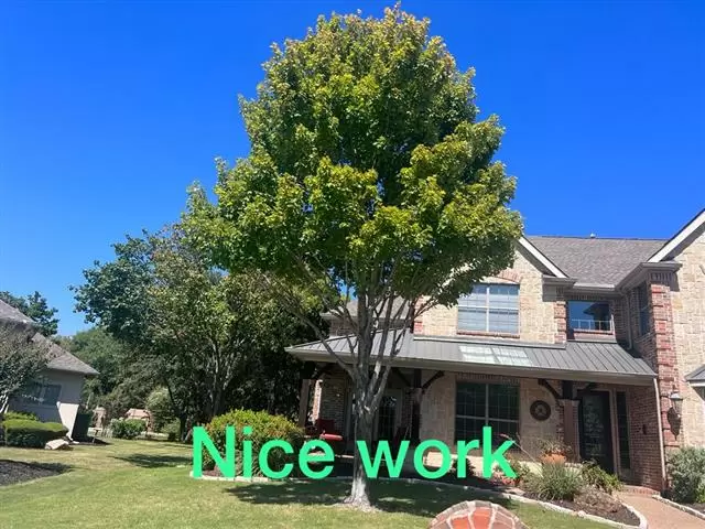 Canales'Landscape Tree Service image 1
