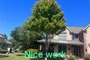 Canales'Landscape Tree Service en Arlington TX