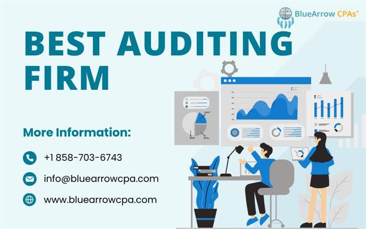 Best Auditing Firm image 1