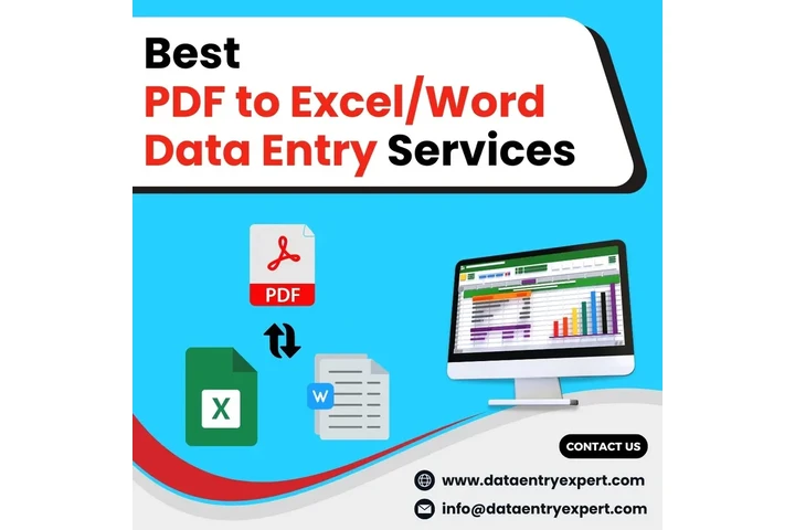 PDF to Word/Excel Services image 1
