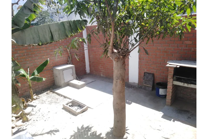 $1500 : Alquiler Casa Campo Lunahuana image 9