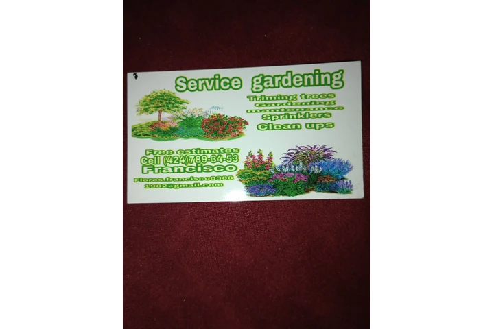 Service gardening and cleaning image 2
