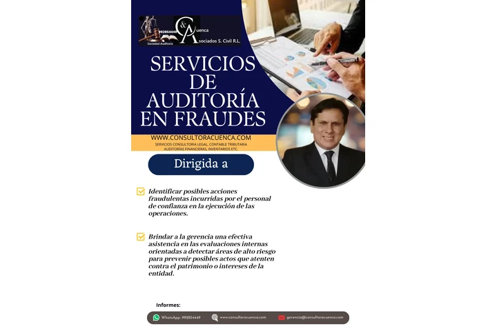 AUDITORÍA EN FRAUDE image 1