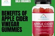 apple cider vinegar gummies