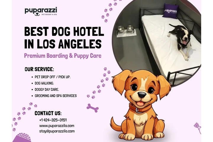Best Dog Hotel in Los Angeles image 1