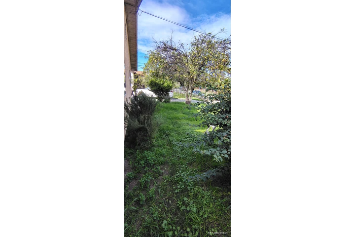 Corte de pasto 🌿👷🏼 image 4