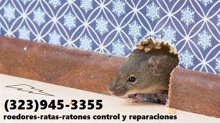 RODENTS PEST CONTROL SERVICES image 5