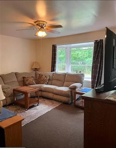 $1100 : Rent Furnished 1 Bed, 1 bath. image 4