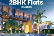 Buy Best Price 2 Bhk flat in M
