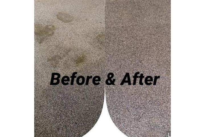 CARPET CLEANING image 6