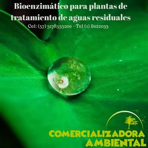 Bioenzimático para Plantas image 2