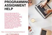 Programming Assignment Help en London