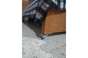 Cama individual de madera en Guadalajara