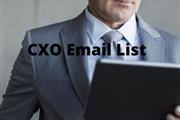 Get the best CXO Email List US en Houston