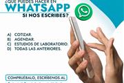 ¿Que puedes hacer en whatsApp? en Queretaro