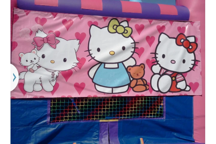 KAGAROO RENTAL JUMPERS image 1