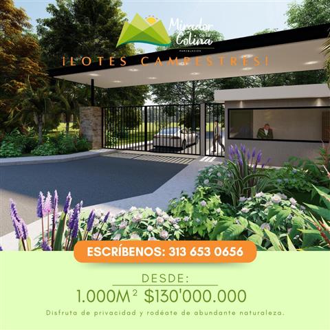 $130000000 : LOTES CAMPESTRES - BUGA VALLE image 1