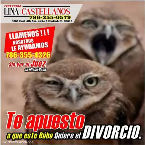 Divorcio en Miami Dade!!! image 1