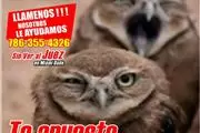 Divorcio en Miami Dade!!!