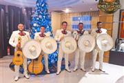 Mariachi en punta cana thumbnail