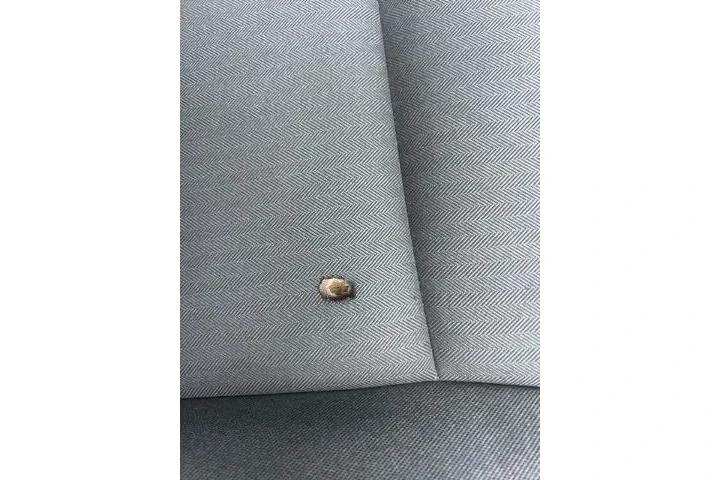 $18988 : Hyundai IONIQ Plug-in Hybrid image 7