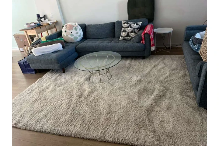 LIMPIEZA PROFESIONAL image 6