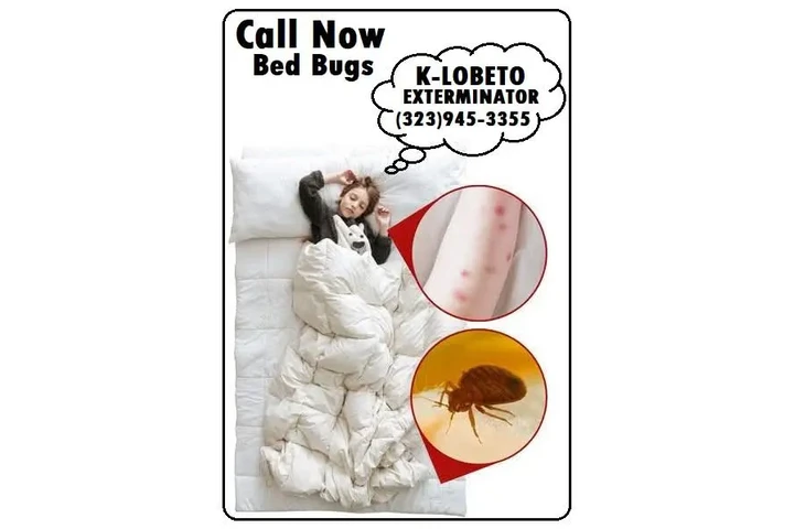Bed Bugs-Chinches Fumigaciónes image 6