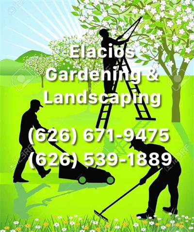 Elacios Gardening & Lanscapin image 2