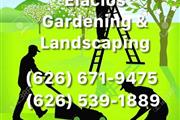 Elacios Gardening & Lanscapin thumbnail 2