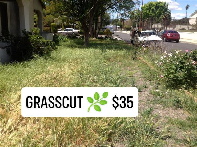 Grasscut 🌿👷🏻🏡 $35 image 4