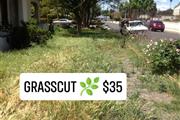 Grasscut 🌿👷🏻🏡 $35 thumbnail