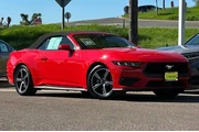 $26975 : Ford Mustang 2024 EcoBoost P thumbnail