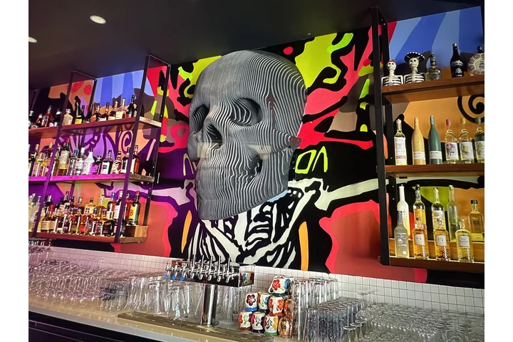 Bartender/speedtender/headbar image 9