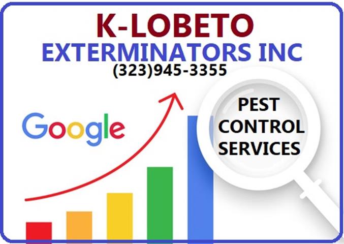 PEST CONTROL MAYWOOD - 24/7 image 8