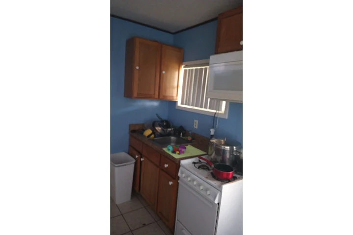 SHINE AND SPARKLE image 3