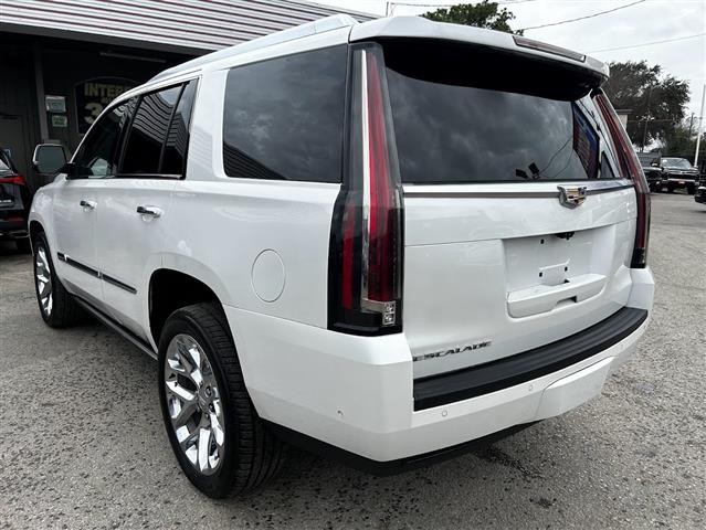 2018 Escalade PREMIUM LUXURY image 5