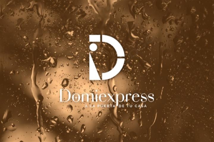 Domiexpresseguro image 1