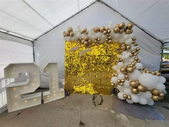 Carpas,arcos deglobos image 1