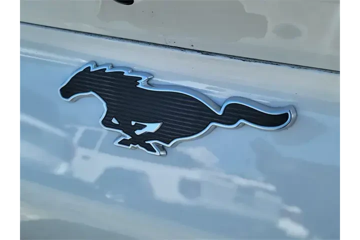 $26591 : Ford Mustang Mach-E 2024 Sel image 5