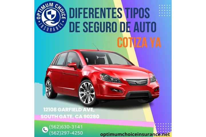 AUTO INSURANCE Y REGISTRACIONE image 1