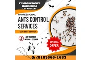 FUMIGACIONES HORMIGAS 24 HORAS