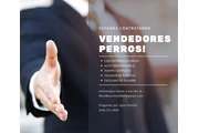 Vendedores perros en Los Angeles