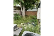 Jardinero $35🍀🌿💳📱 en Los Angeles