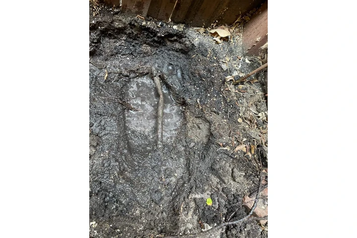 FONTANERO EN LOS ANGELES image 1