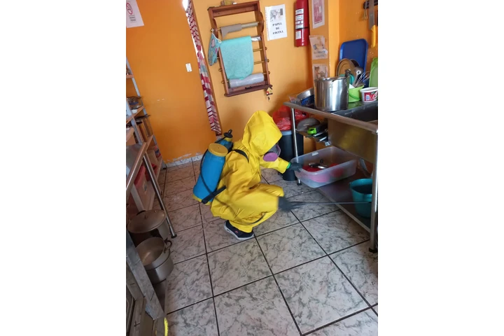 Servicio profesional de fumiga image 4
