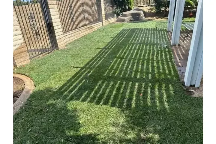 🌳 Francisco Toc Landscaping image 8